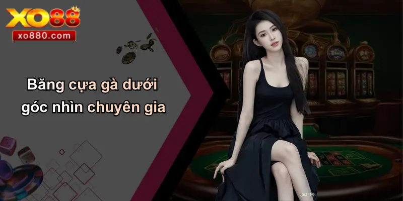 Băng Cựa Gà: Từ Truyền Thống Đến Cá Cược Hiện Đại Cùng XO88 5 Băng cựa gà dưới góc nhìn chuyên gia