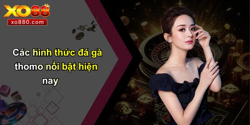 Các hình thức đá gà thomo nổi bật hiện nay