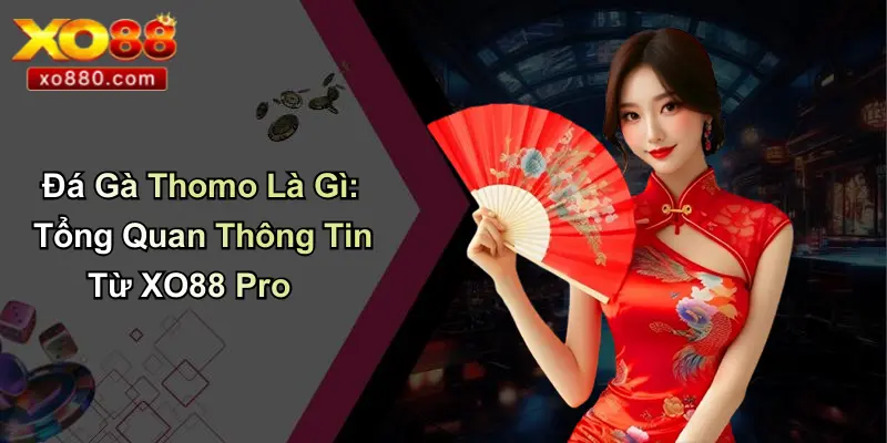 Đá Gà Thomo Là Gì