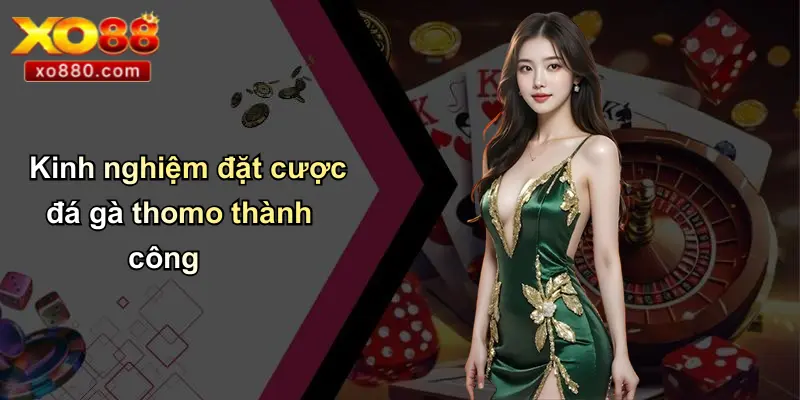 Kinh nghiệm đặt cược đá gà thomo thành công